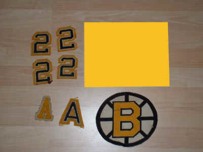 Bruins lot 1.JPG (253682 bytes)