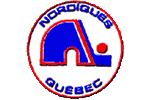 Quebec Nordiques Logo - A blue N next to a hockey stick, formed together as an igloo in circle with