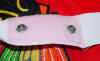 wash chi.jpg (61624 bytes)